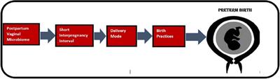 Role of short interpregnancy interval, birth mode, birth practices, and the postpartum vaginal microbiome in preterm birth